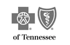 Blue Cross Blue Shield